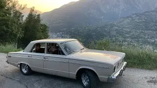 The Meseeks - Summer Nights' Appealing [Official Music Video]