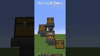 Micro EXP Farm!
