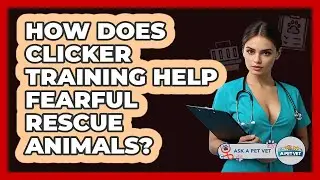 How Does Clicker Training Help Fearful Rescue Animals? - Ask A Pet Vet
