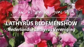 Lathyrus Bloemenshow in De Tuinen van Appeltern!