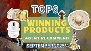Top 6 Winning Products to Dropship Now | September 2025