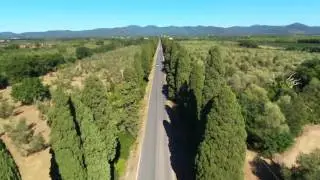 The way of Bolgheri