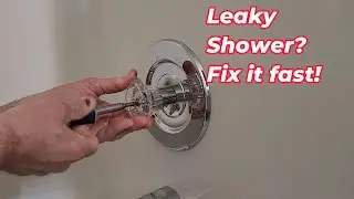Moen 1225 Cartridge Replacement &ndash; Stop That Drip!