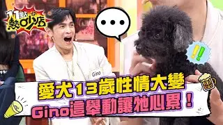 Gino愛犬13歲突性情大變不理人？溝通師一語道破「這舉動」讓牠心累！徐新洋遭愛犬記仇「拒絕親親」真相超尷尬！#11點熱吵店 20260108 拆條精華篇｜#Gino #陳華 #娜亞 #徐新洋