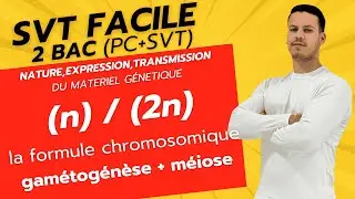 (2n) / (n) , la formule chromosomique, la gam&eacute;togen&egrave;se