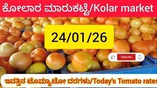 January 24, 2026 ಇವತ್ತಿನ ಟೊಮ್ಯಾಟೋ 🍅🍅🍅🍅 ಬೆಲೆಗಳು ಕೋಲಾರ ಮಾರುಕಟ್ಟೆ, ಕರ್ನಾಟಕ 