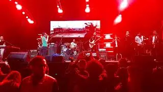 Lo Ke Diga el Dedo - Chachasteady / Grita Fest [Manizales - 2022]