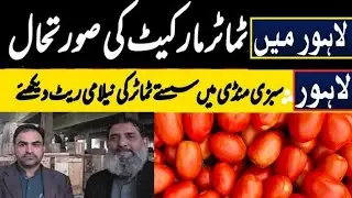 Today Tomato Price | Sabzi mandi Lahore |Kashat Kar Bazar CM Punjab | آج ٹماٹر کا ریٹ کیا