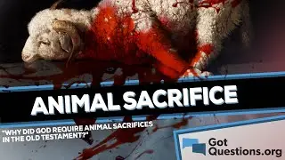 Why did God require animal sacrifices in the Old Testament?  |  GotQuestions.org