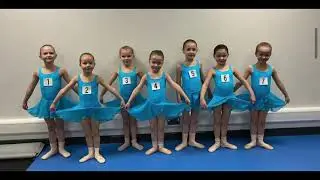 WDC 1 Year Anniversary