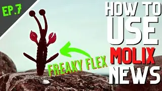 HOW TO USE | MOLIX NEWS - EP. 7 | FREAKY FLEX