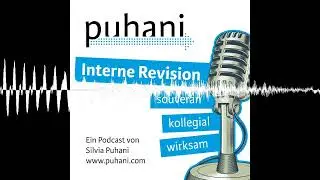 #393: Soll ich in die Interne Revision wechseln?