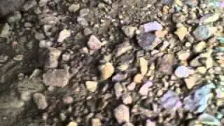 oxcartracing fixs a truck