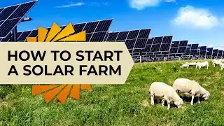 Как создать солнечную ферму