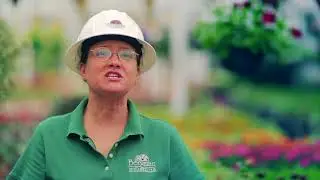 Bergman Nurseries - Get The Dirt - Tree Injections