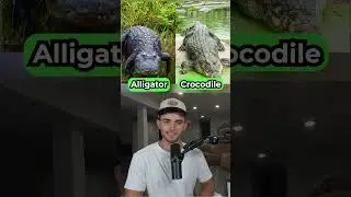 Can You Tell The Difference?
