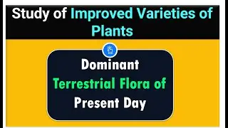 What is the Study of Improved Varieties of Plants? | Dominant Terrestrial Flora of Present Day