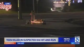 Teen killed in suspected DUI hit-and-run