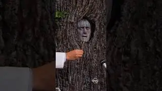 Говорящее дерево изучает бумагу (при участии Джека Макбрайера)