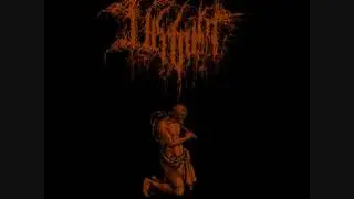 Verbum -   Ekphrasis Of The Weak