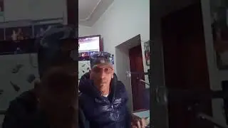 Dirette pino rosselli