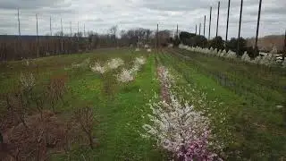 Drone Academy, Ringoes, NJ