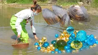Stunning Discovery in Local River: Teenage Girl Finds Giant Mussel Containing Valuable Pearls