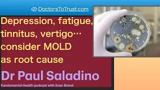 PAUL SALADINO 1 | Depression, fatigue, tinnitus, vertigo&hellip; consider MOLD as root cause
