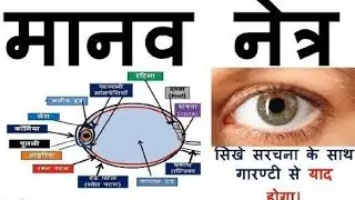 मानव नेत्र (Human Eye) ||Railway Science || Ncert Science || By-Ashok Sir