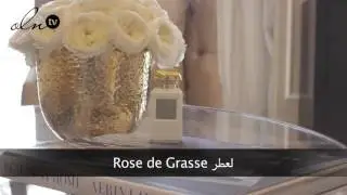 اكتشفي أسرار عطور AERIN الجديدة