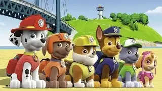 щенячий патруль игра. Щенячий патруль мультфильм. Видео для детей. Paw patrol cartoon.