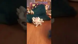 magic mixie dance