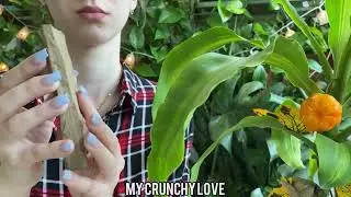 Wet Turkishtani clay tile eating asmr 