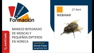 Manejo Integrado de moscas y peque&ntilde;os d&iacute;pteros en HORECA