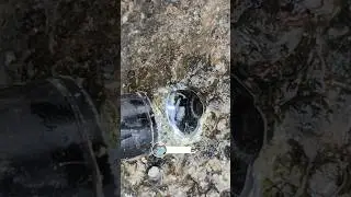 Bay Diamond Hunter: Uncovering Black & White Oregon Fossils | Agate Gemstone Digging ⛏️💎