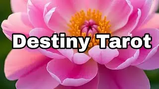Destiny Tarot is live#ShivShakti#Mahakali#Justice#Growth#Success#LordShanidev🩷🔥