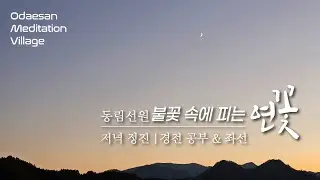 불꽃 속에 피는 연꽃 | 2026.1.27.(화) 저녁 정진  |  좌선  | Meditation Daily Guided