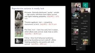 Robin Snyder - The role of luck in reproductive skew and individual success