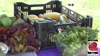 Farmers Market
