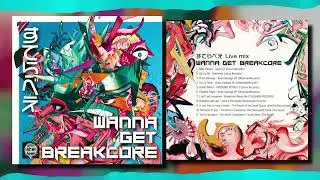 すてらべえ - WANNA GET BREAKCORE [UNOFFICIAL VISUALIZER]