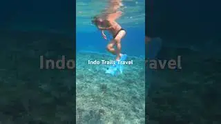 Gili Trawangan Trip with Indo Trails Travel, play with turtle turtle!! #travel #lombok # #adventure