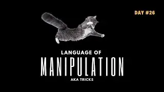 😀Funny Journal Of Cats And Dogs - Dog vs Vacuum - while the Cat perfects manipulation skills #Day26
