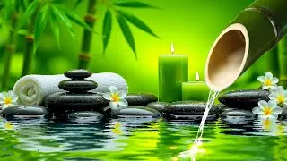 Relaxing Music Relieves Stress and Calm Anxiety 🌿 Healing Music for Deep Sleeping, Meditation Music