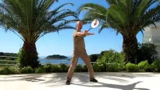 Taiji Bailong Ball  Hvar