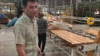 BWG Bamboo Factory Introduction: Vietnam bamboo