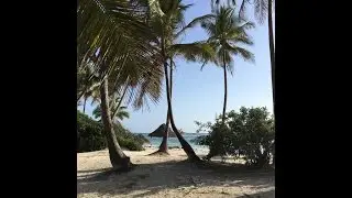 Zanzibar