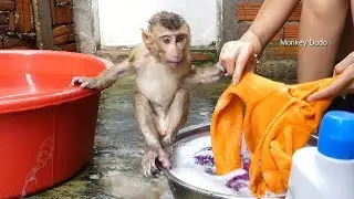 Wow Dodo Very Happy Swimming And Help Mom Work Washing Clothes