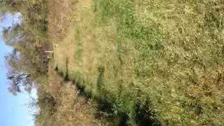 100 yard PSE Elite crossbow shot with HHA Speed Dial