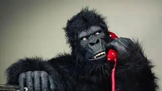 CALL CENTRE SONG Okee Dokee