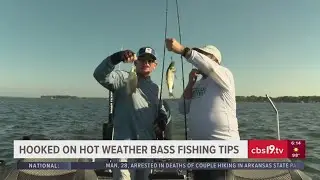 HOOKED ON EAST TEXAS: Summer white bass and hybrid fishing tips